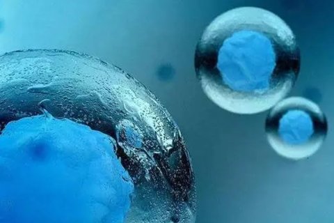 〖国外三代试管代怀生孩子是怎么做的〗国外三代试管生孩子流程详解
